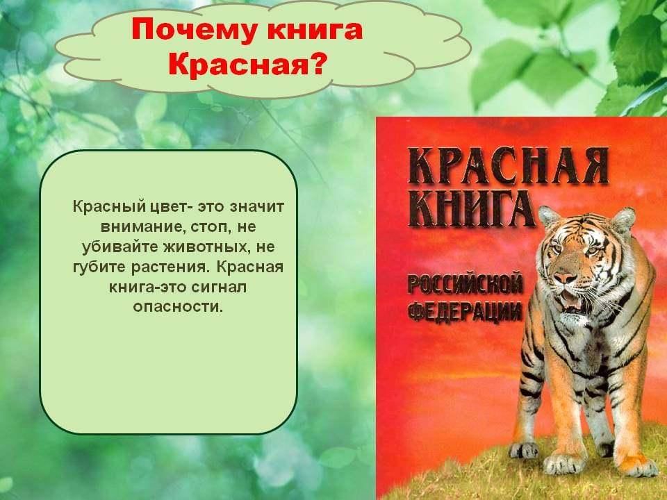 Проект на тему красная книга россии для 4 класса по окружающему миру