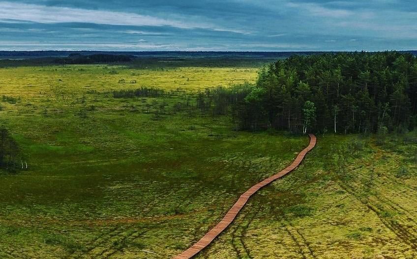 Сестрорецк заказник болото