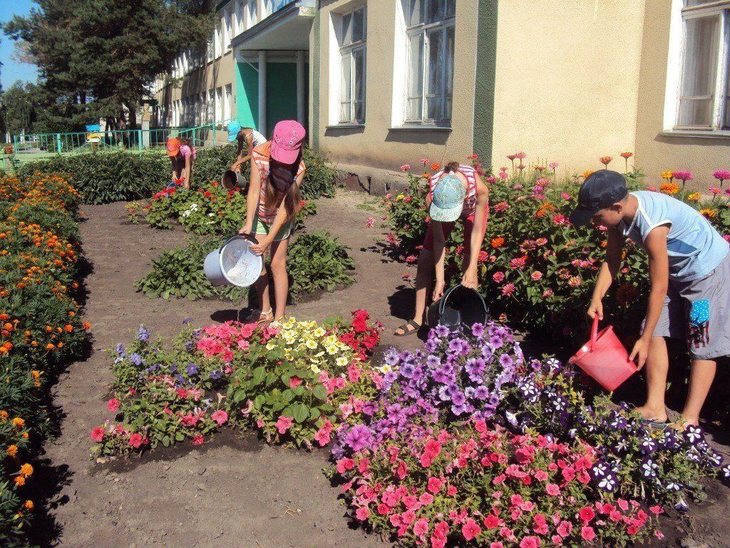 Пришкольный участок картинки