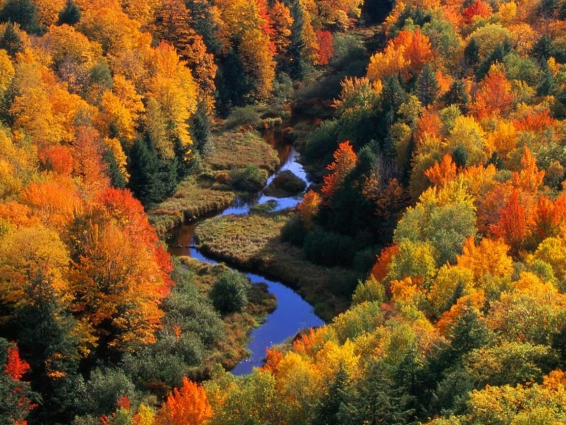 Красивые осенние картинки. Осень. Осенняя природа. Природа осень. Осенний лес.
