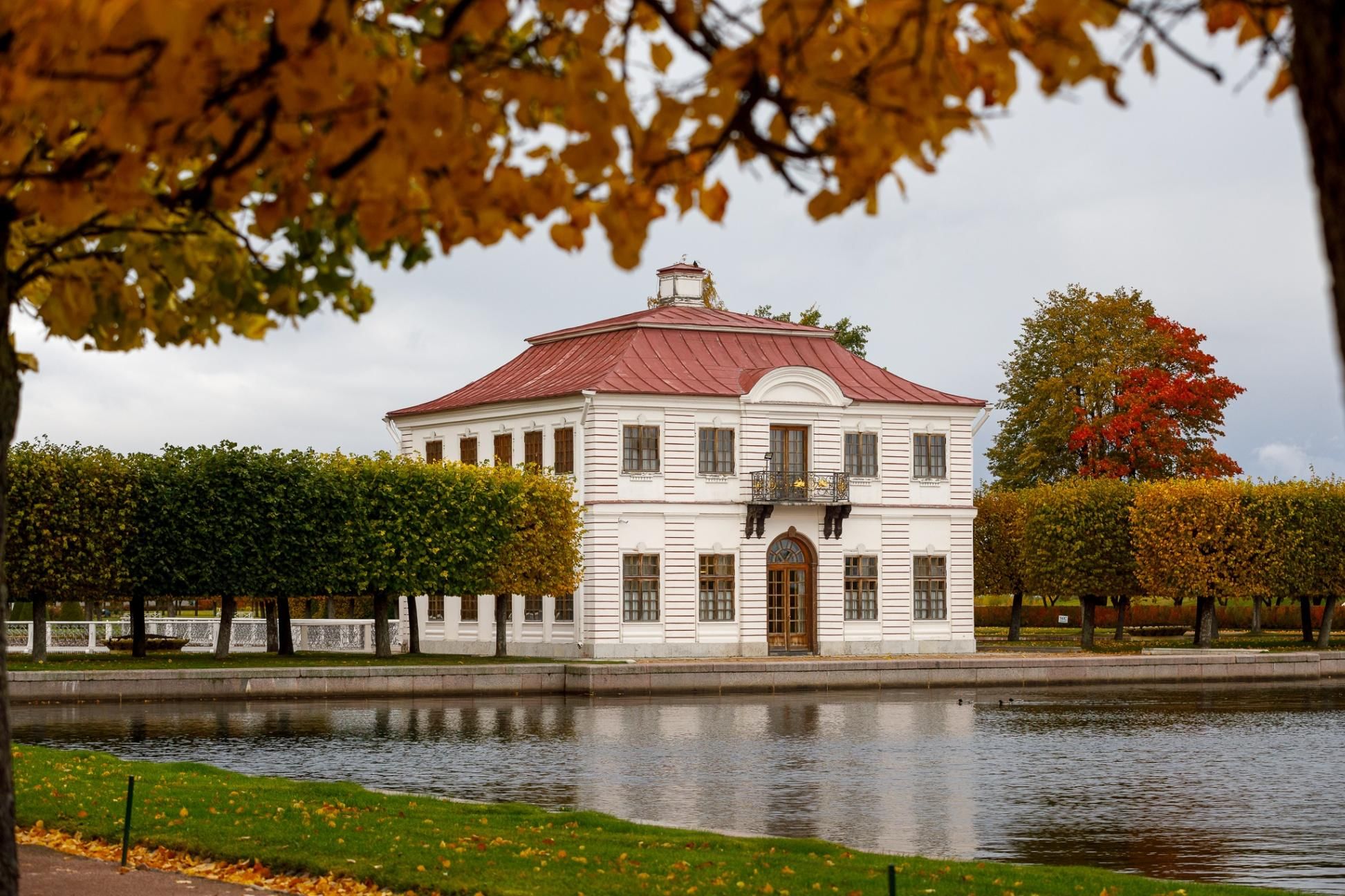 марли в санкт петербурге