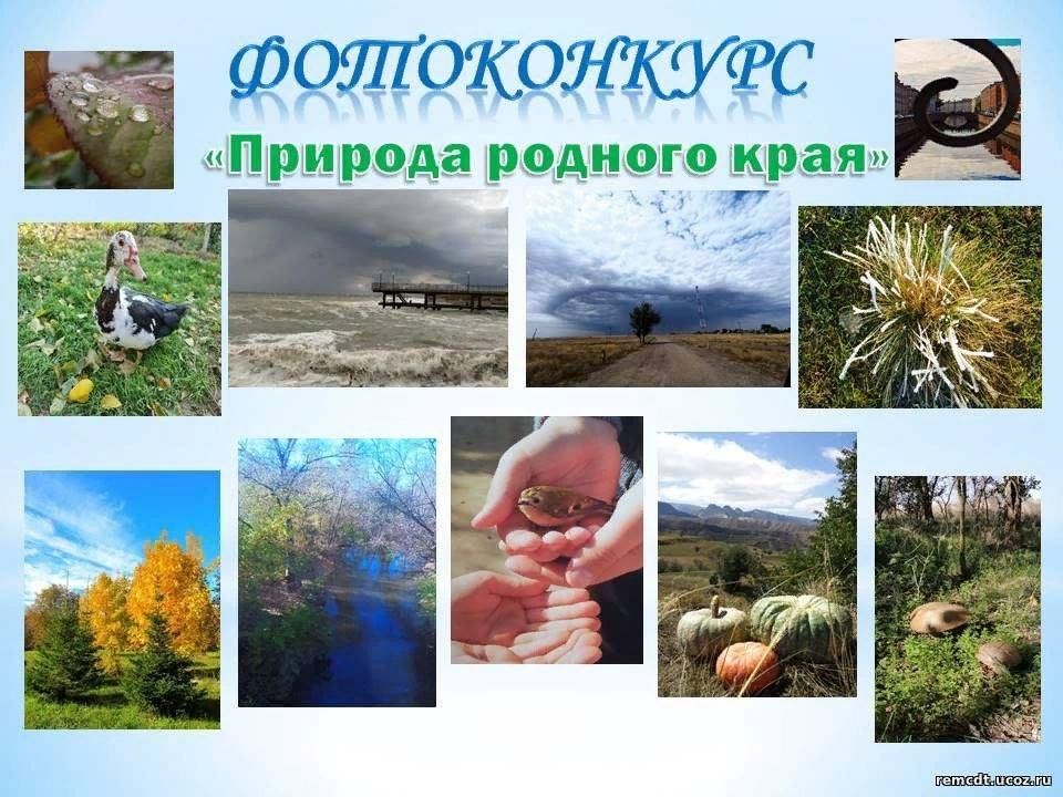 Название фото с природой на конкурс