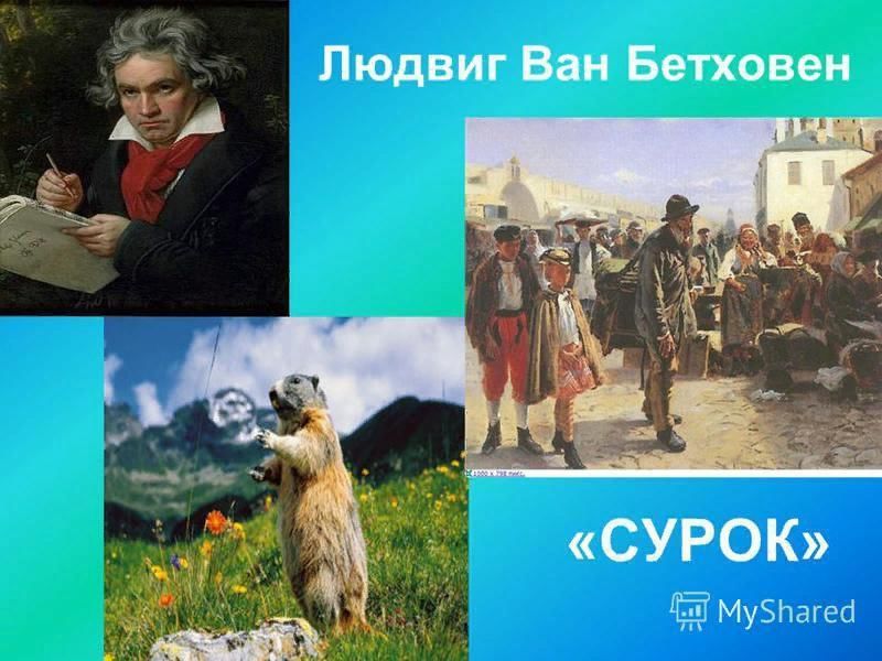 Рисунок к песне сурок бетховена 3 класс