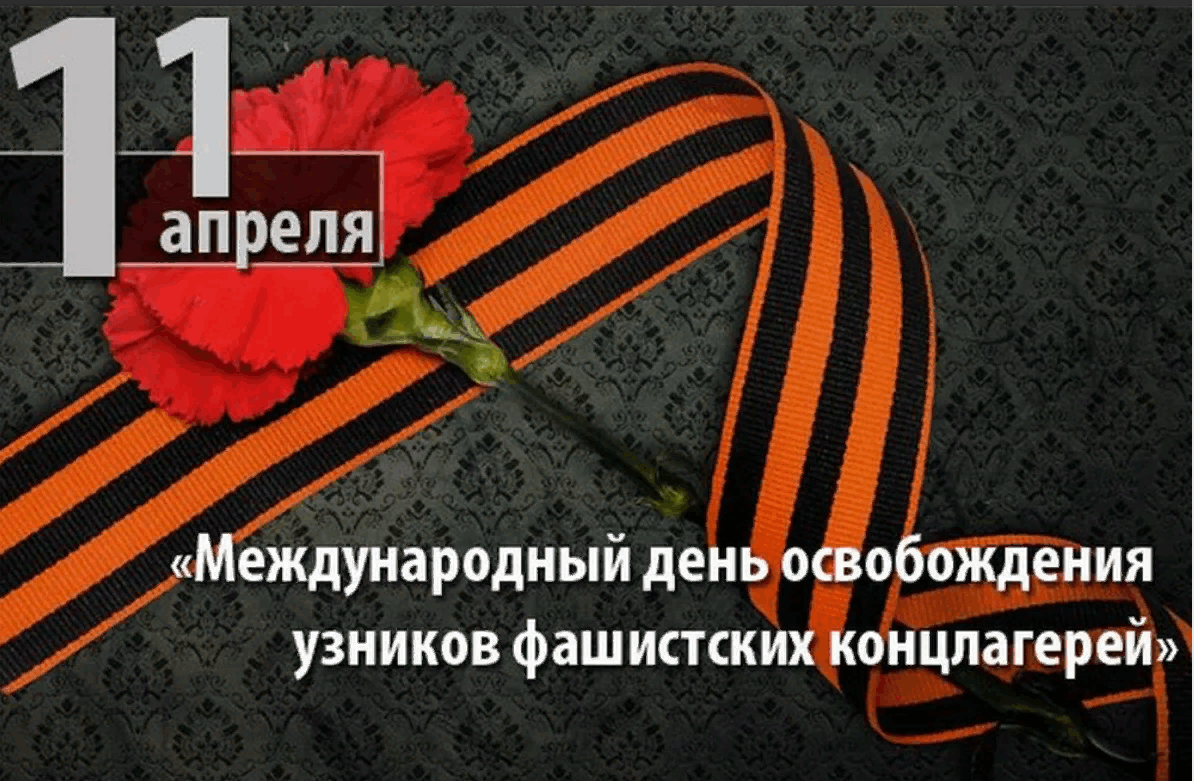 Международный день освобождения узников фашистских лагерей. 11 Апреля 1945 день освобождения узников фашистских лагерей. 11 Апреля праздник освобождения узников фашистских концлагерей. 11 Апреля - международным днем освобождения узников фашизма. Международный день узников фашистских концлагерей 11 апреля.