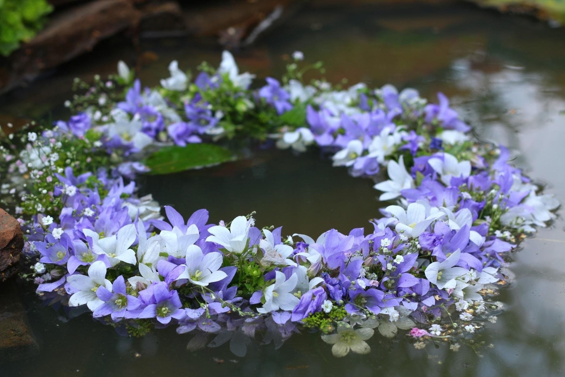 Колокольчики озеро. Купальский венок. Цветы на воде. Венки на воде. Река из цветов.