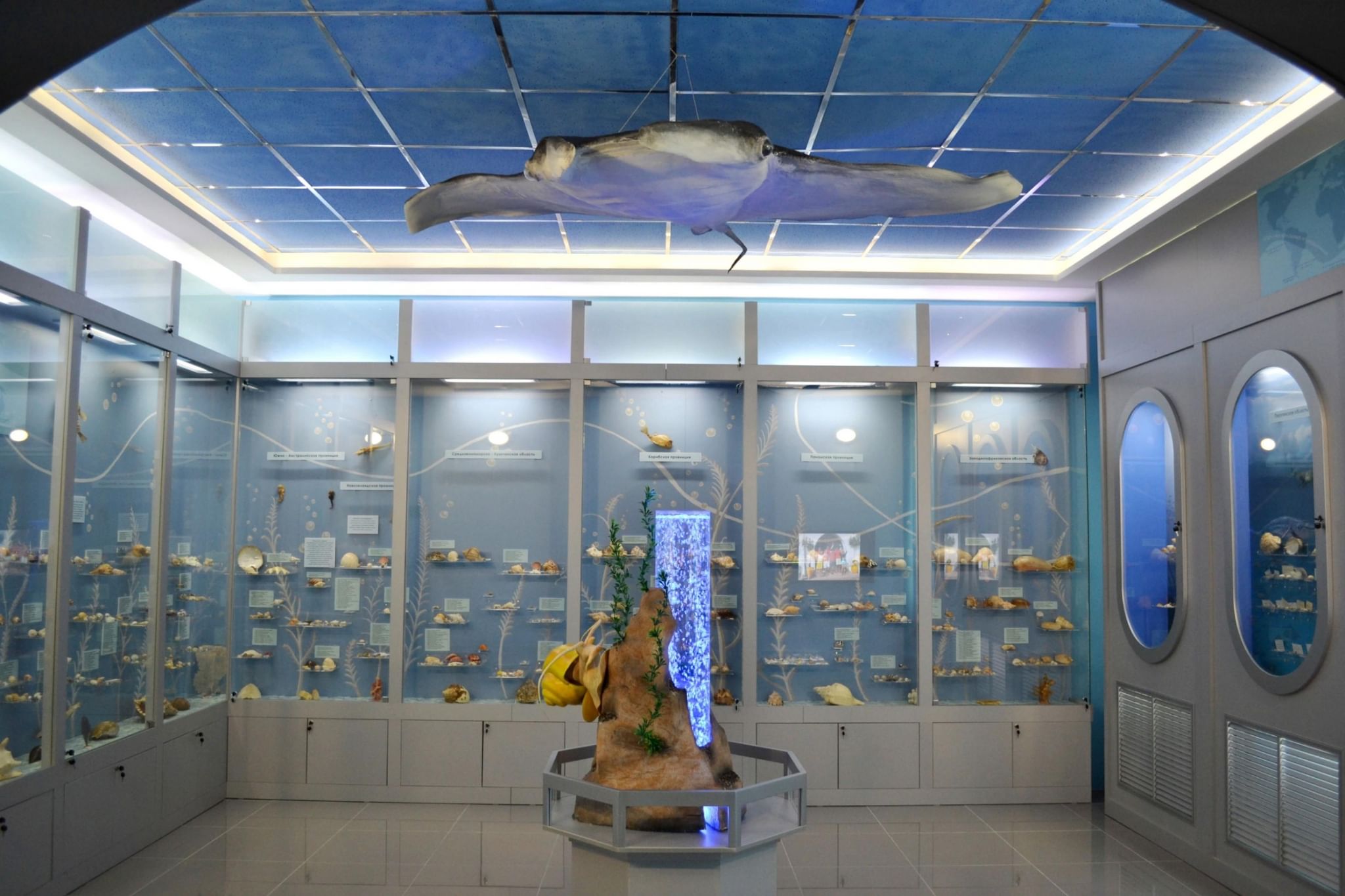 музей моря