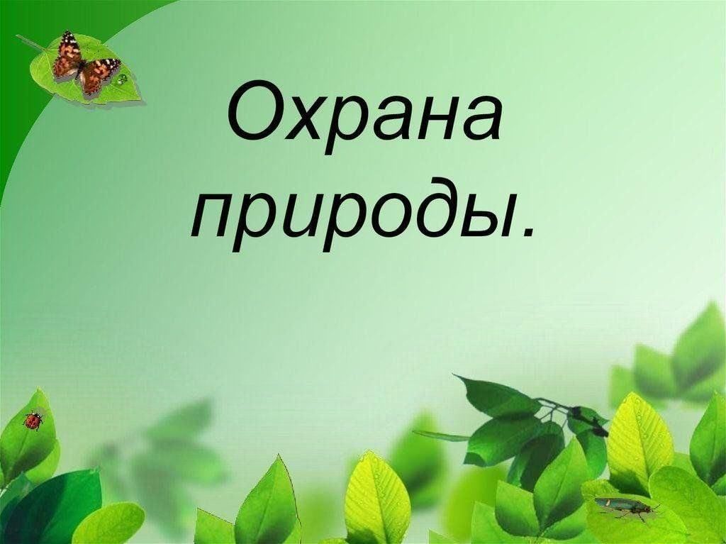 Презентация урока. Урок окружающий мир. Урок окружающего мира 3 класс. Окружающий мир презентация. Урок окружающего мира презентация.