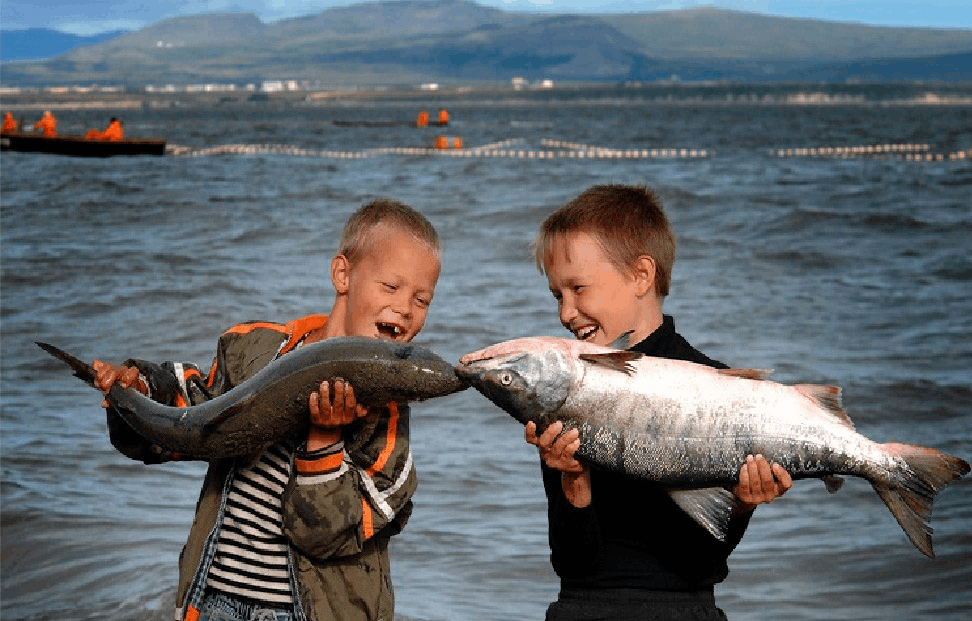 Поймали рыбу картинки