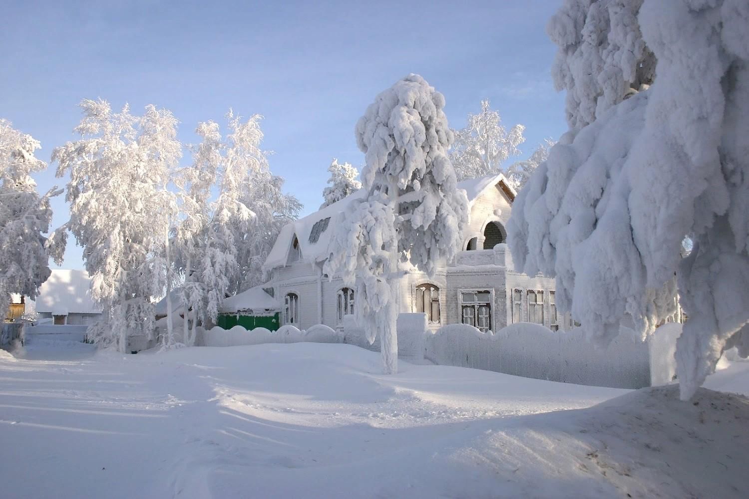 Снежное фото. КИШ манзараси. Снежная зима. Настоящая зима. Белоснежная зима.