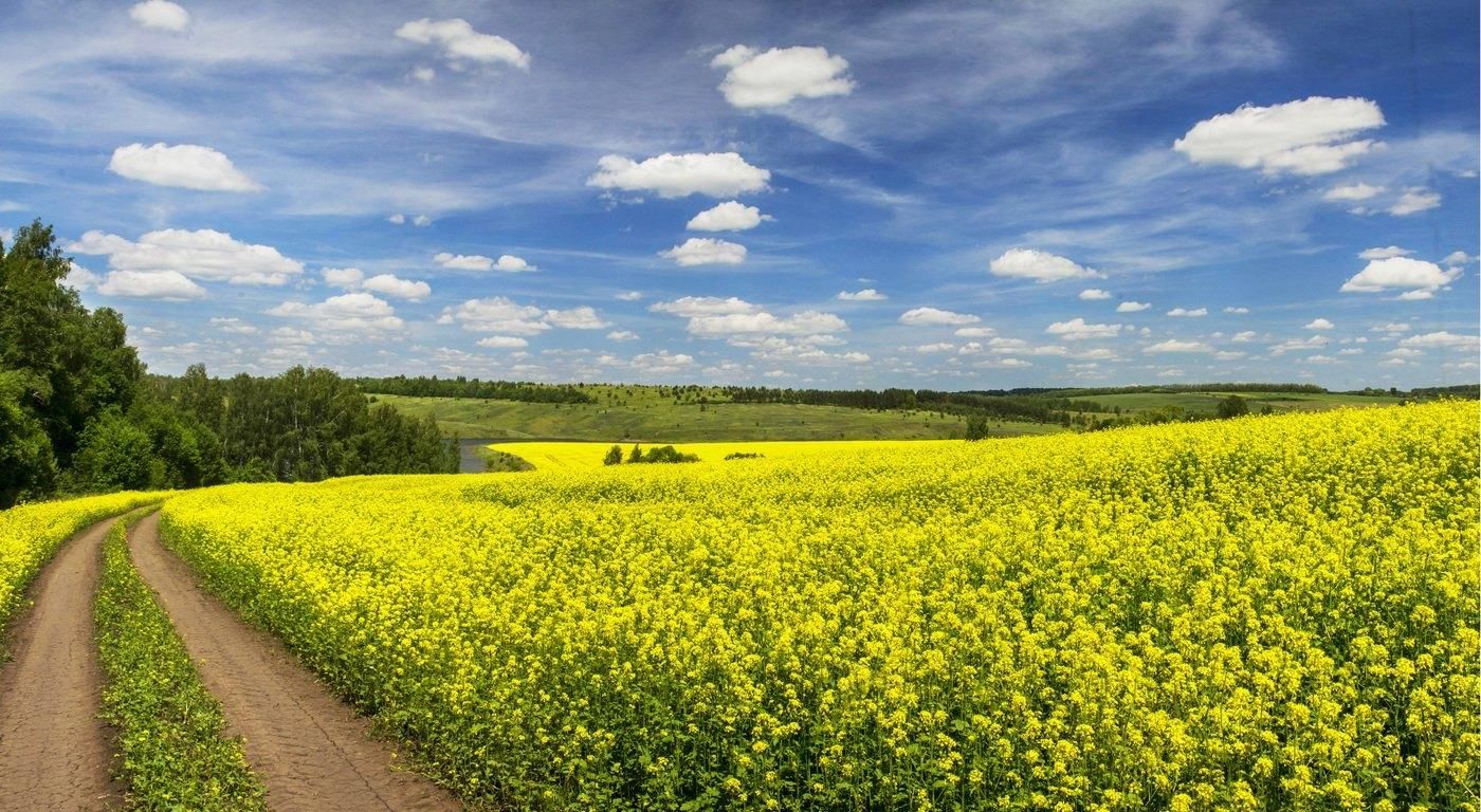 Просторы Природы