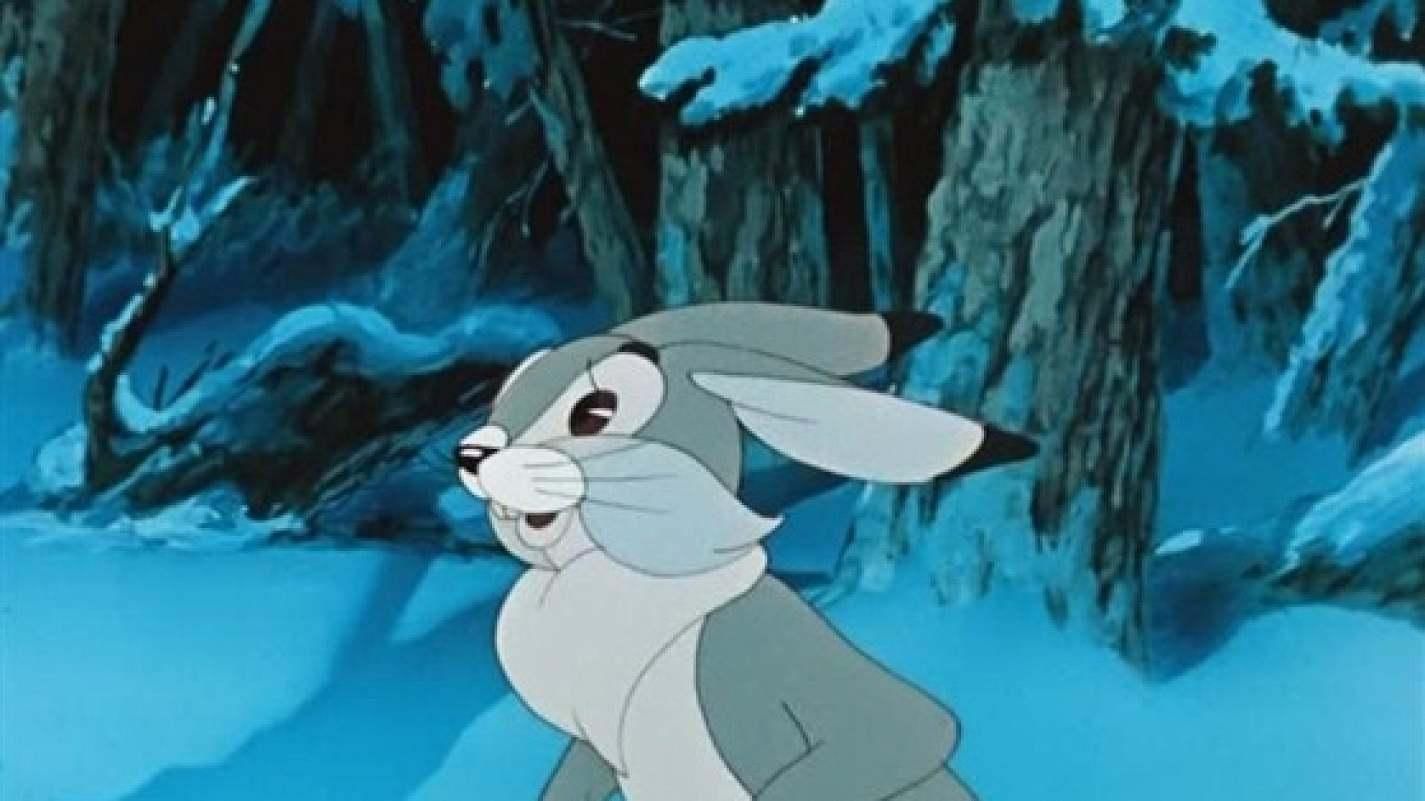 Храбрый заяц картинка