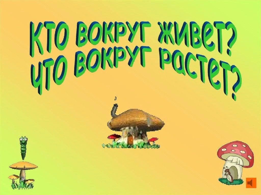 Вокруг росли. Кто вокруг живет что вокруг растет. «Кто вокруг живет, что вокруг растет?» - Викторина. Кто вокруг живет что вокруг растет мероприятие. Кто вокруг живет что вокруг растет картинки.