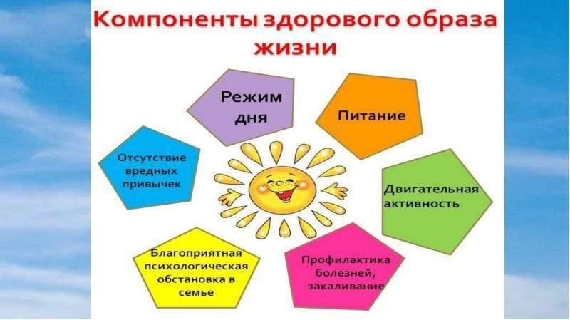Проект секреты здорового образа жизни 7 класс