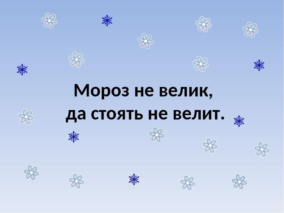 Стоял мороз. Мороз невелик да стоять не велит. Мороз не велик. Пословица Мороз невелик а стоять не велит. Пословица Мороз не велик а стоять не велит.