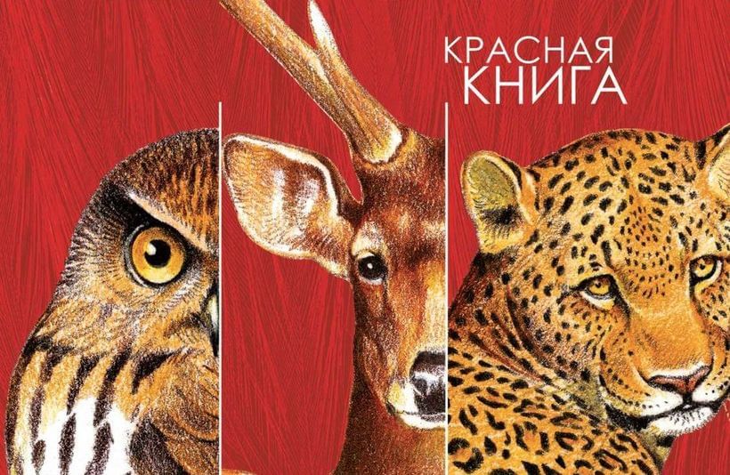 Красная книга формата а4 для проекта По страницам Красной книги". 2020, Ступинский район - дата и место проведения, п
