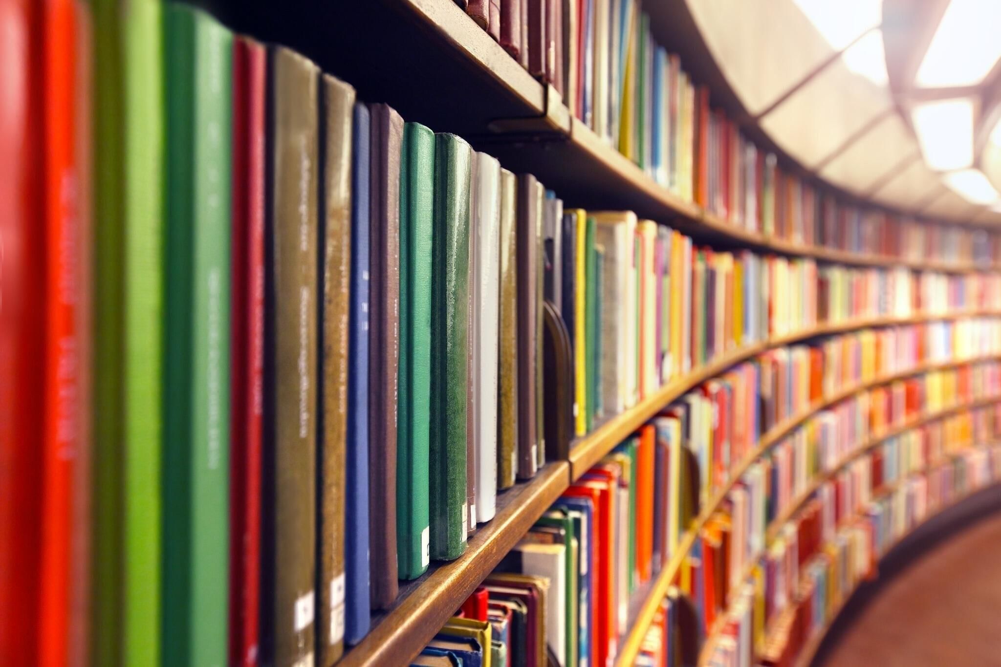 путешествие по книжным полкам
