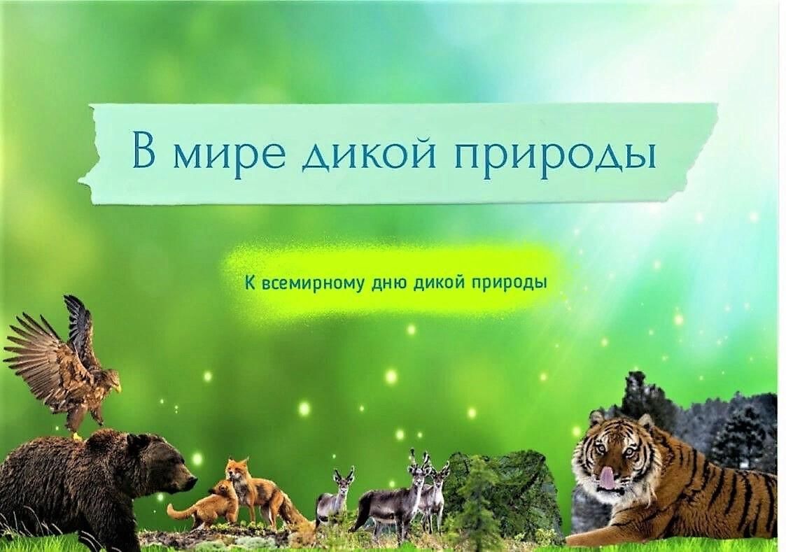 Дикая природа презентация