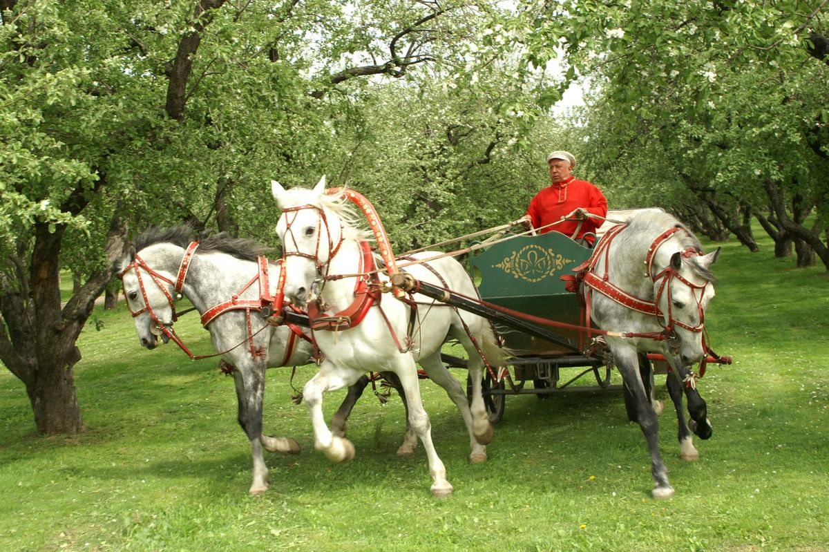 Русская тройка фото