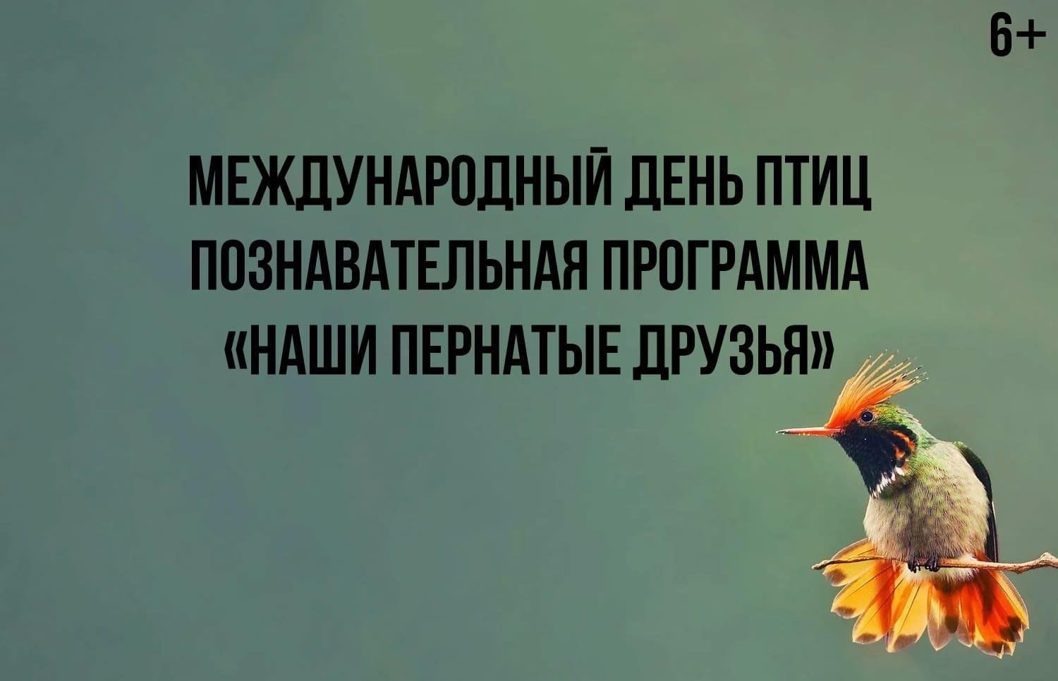 Познавательная программа «Наши пернатые друзья» 2024, Ольский район — дата  и место проведения, программа мероприятия.