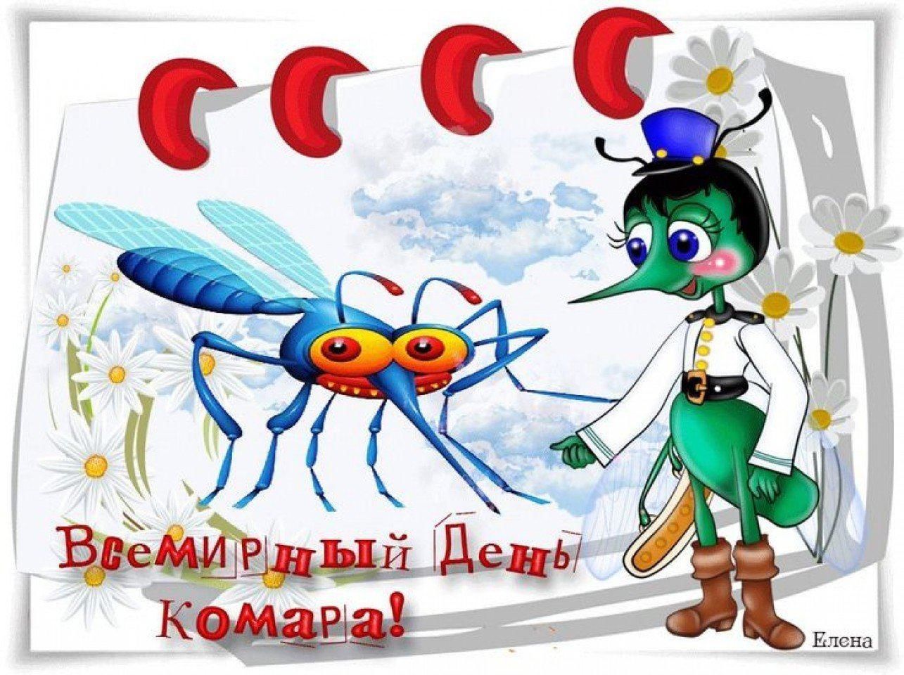 Всемирный день комара