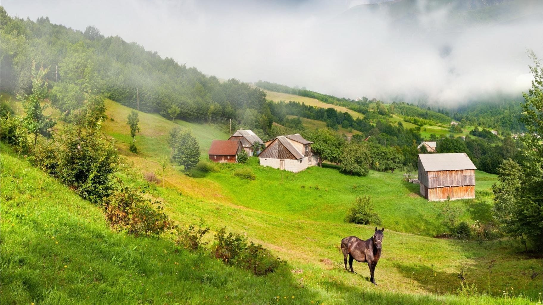 Рабочий стол деревня фото