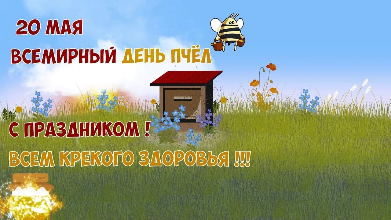 Всемирный день пчел.» 2021, Татышлинский район — дата и место проведения,  программа мероприятия.