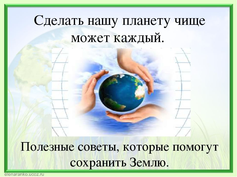 Готовый проект чистая планета