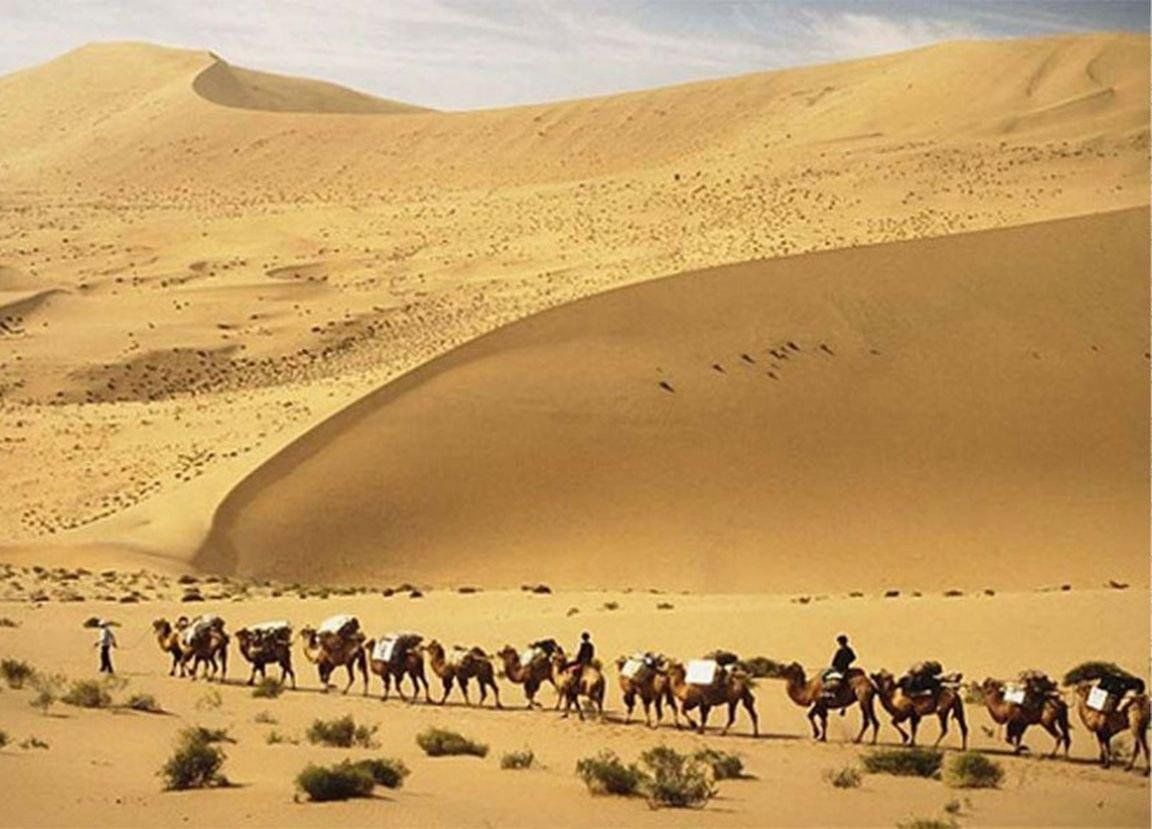 Название каравана. Туркменистан пустыня Караван.