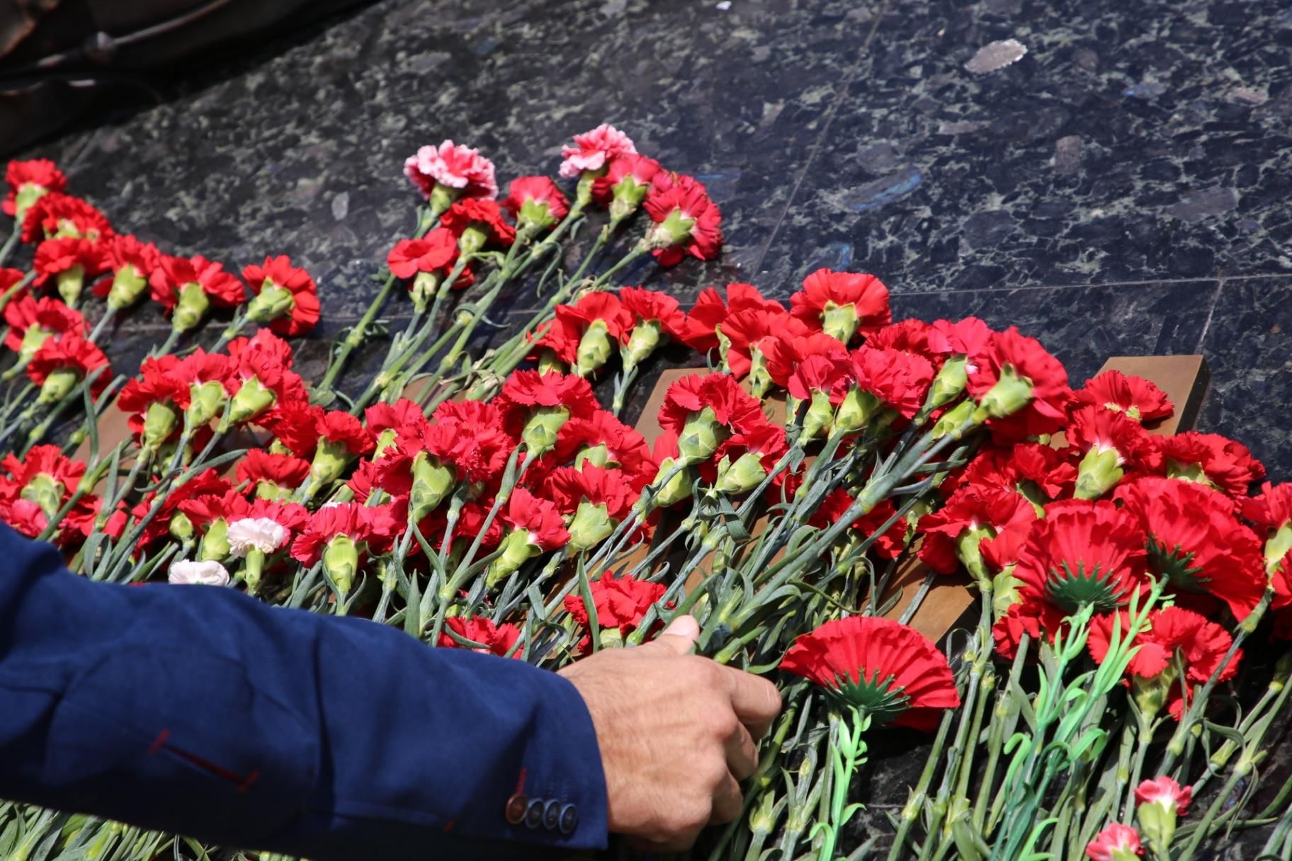 Фото возложение цветов к памятнику погибшим в великой отечественной войне