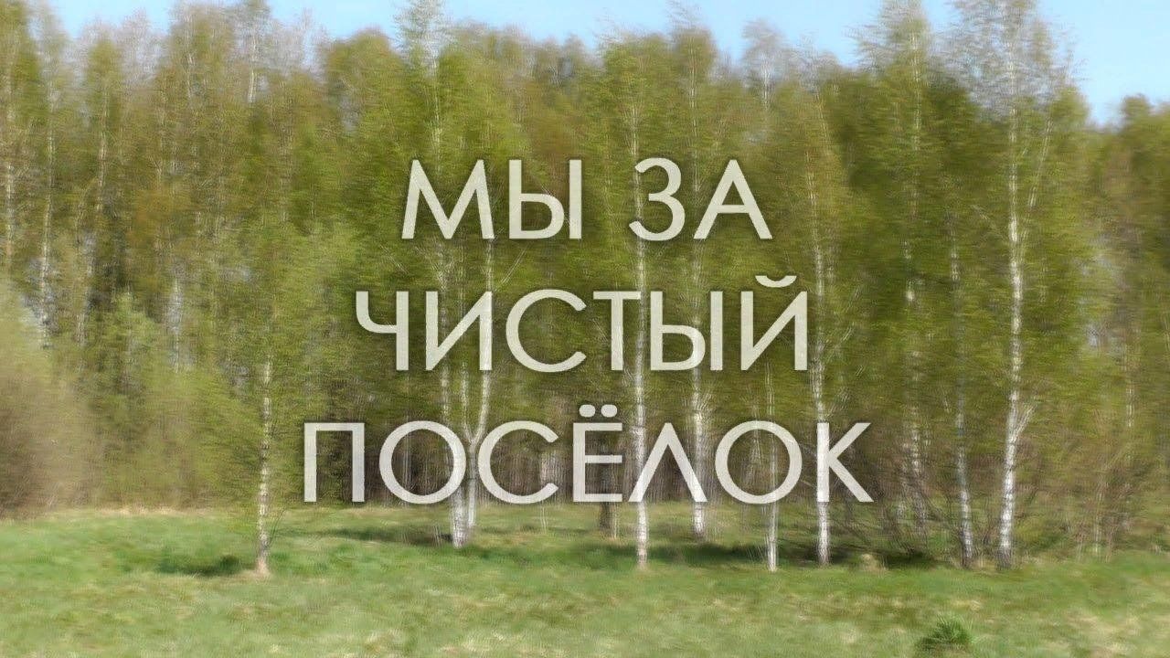 Чистый поселок. За чистый поселок. За чистый поселок картинки. Баннер за чистый поселок. Надпись чистый поселок.