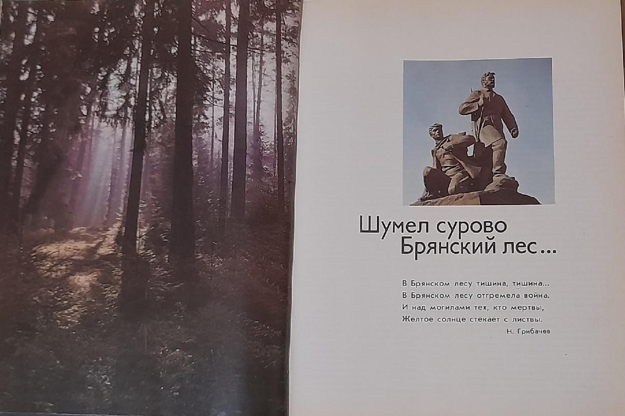 Отзывы брянский лес. Брянский лес. Выставка русский лес. Выставка в лесу.