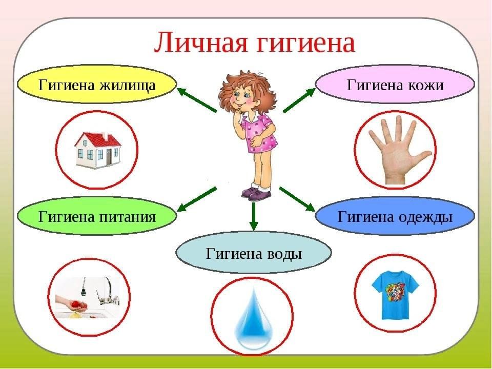 Будь здоров урок окружающего мира во 2 классе перспектива презентация