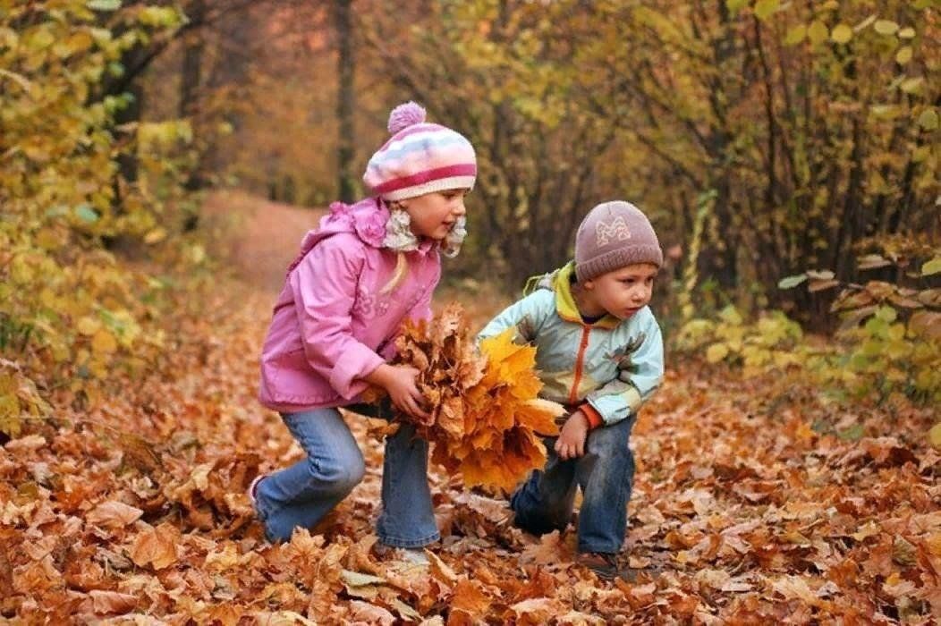 Собрать осенние листья. Осенниеррогулки с детьми. Осенние прогулки с детьми. Дети на прогулке осенью. Осенняя прогулка.
