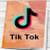 Приобщение к чтению через площадку Tik-Tok «Книжный Tik-Tok»