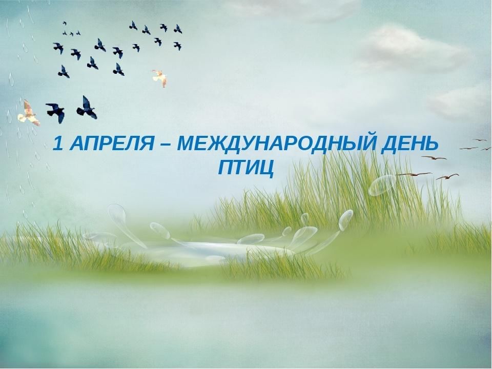 Всемирный день птиц в детском. День птиц. Всемирный день птиц. 1 Апреля день птиц. Надпись Международный день птиц.