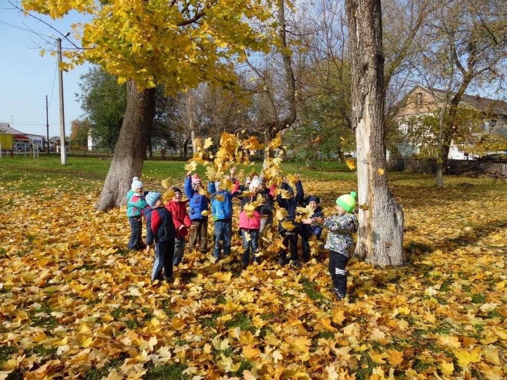 Проект на тему экскурсия на природу