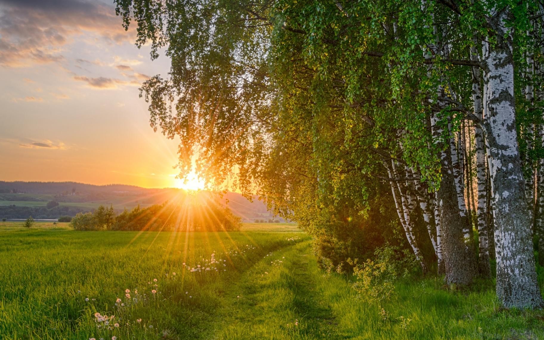 Слушать не лето родина. Природа солнце. Красота русской природы. Летний пейзаж. Природа летом рассвет.