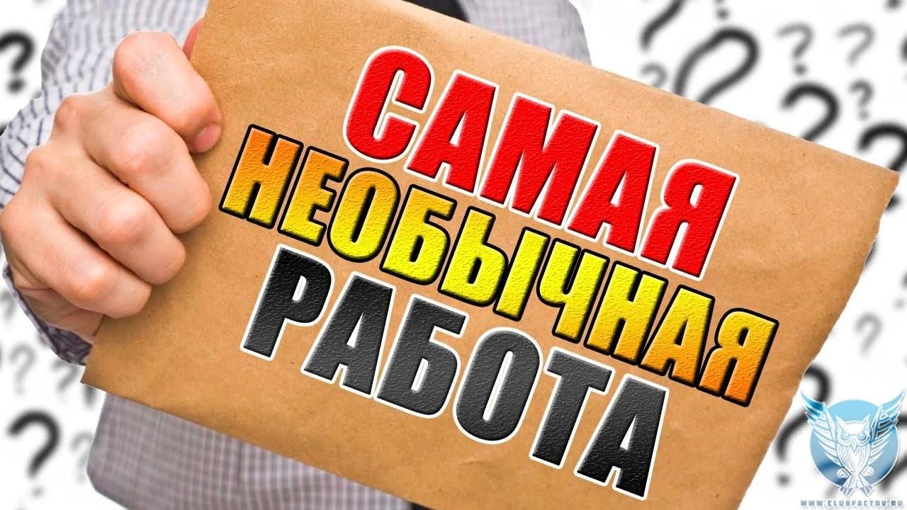 Необыкновенная работа. Необычные профессии. Самые необычные профессии. Необычные профессии картинки. Редкие и необычные профессии.