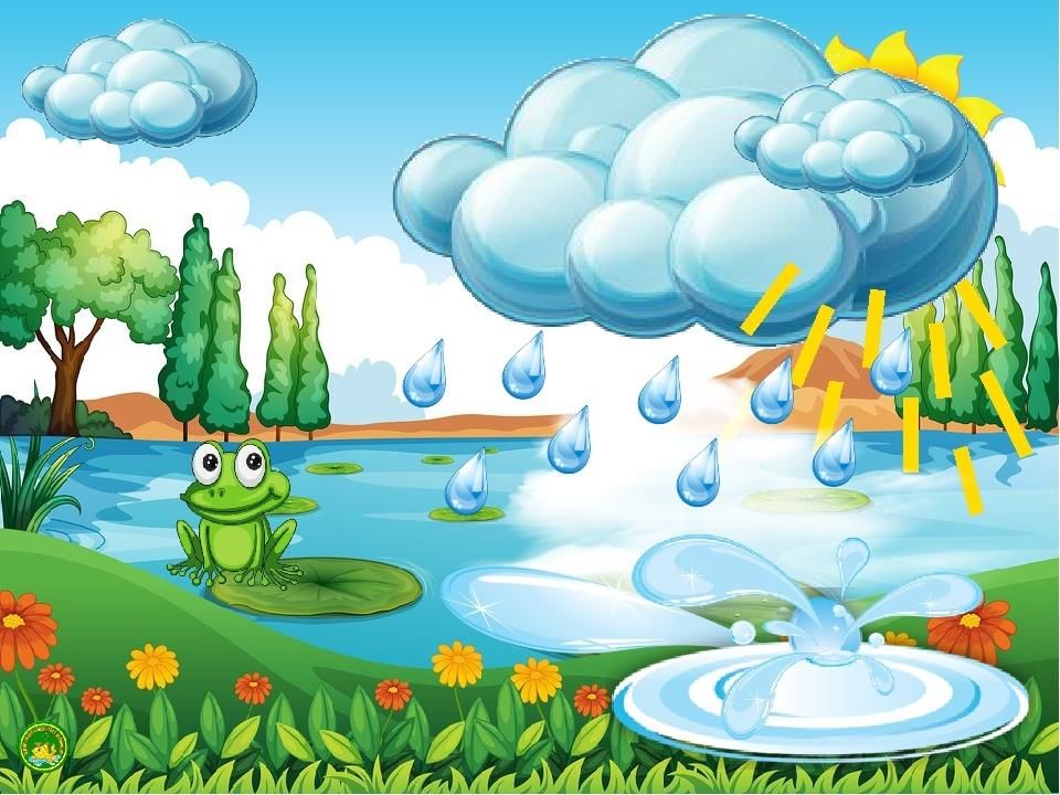 Проект вода для дошкольников
