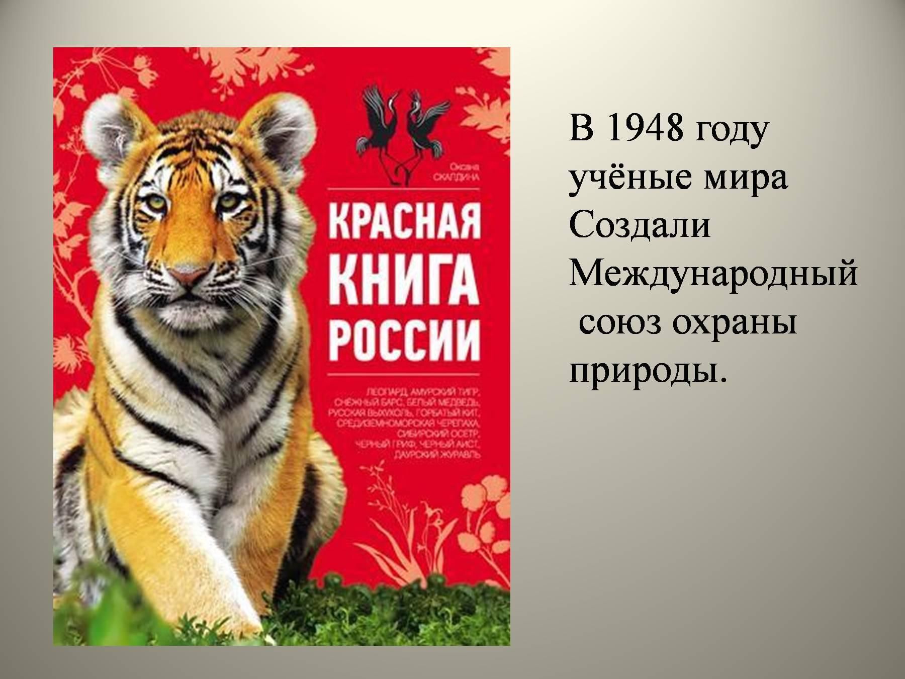 Презентация животные московской области занесенные в красную книгу