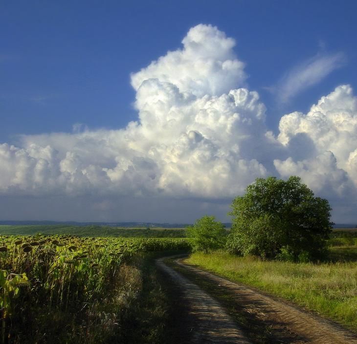 Поволжская природа. Поволжье пейзаж. Красивые пейзажи Поволжья. Природа среднего Поволжья. Пейзаж Поволжский.