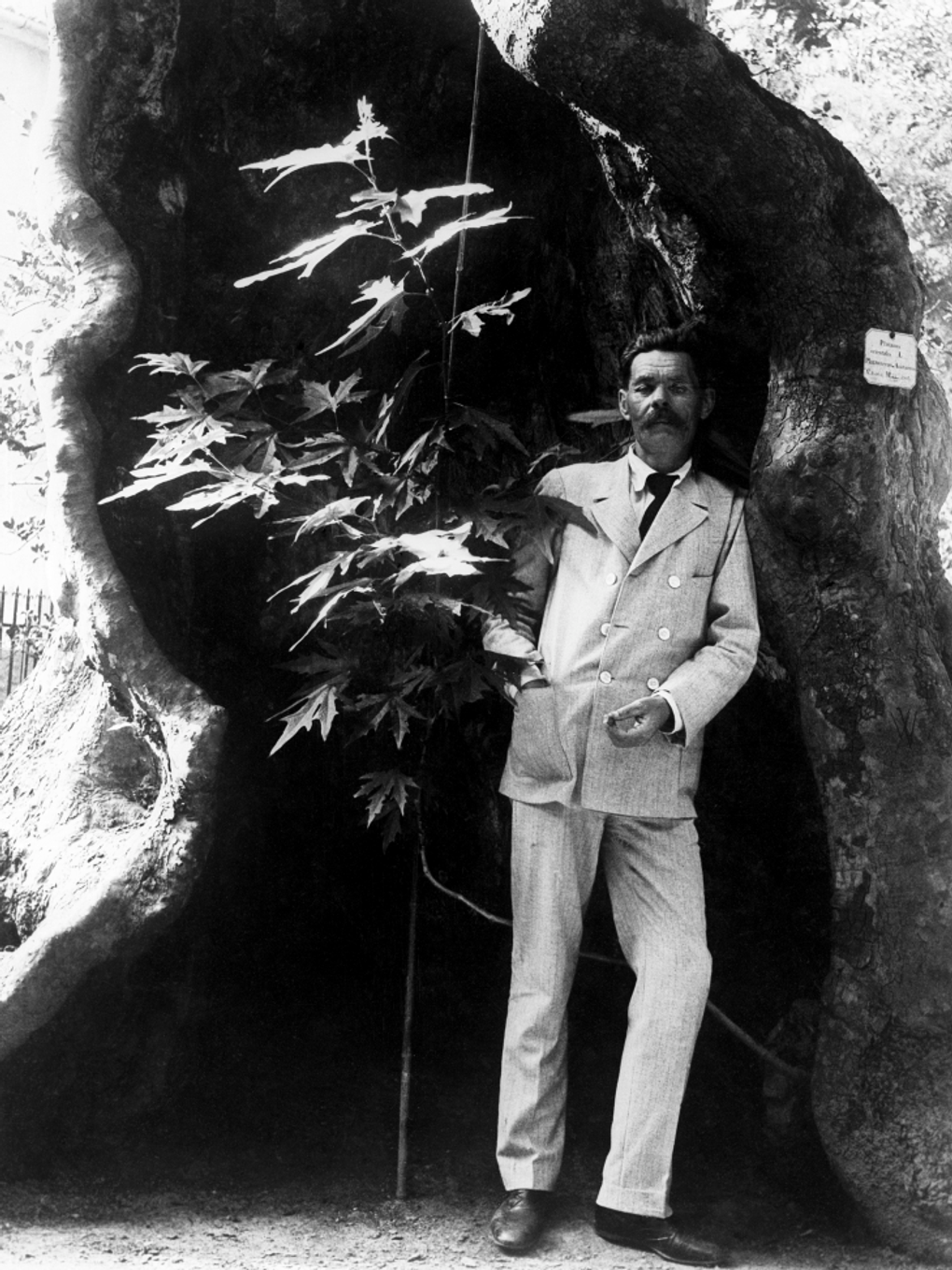 Писатель Максим Горький в Италии. 1913 год. Фотография: ТАСС