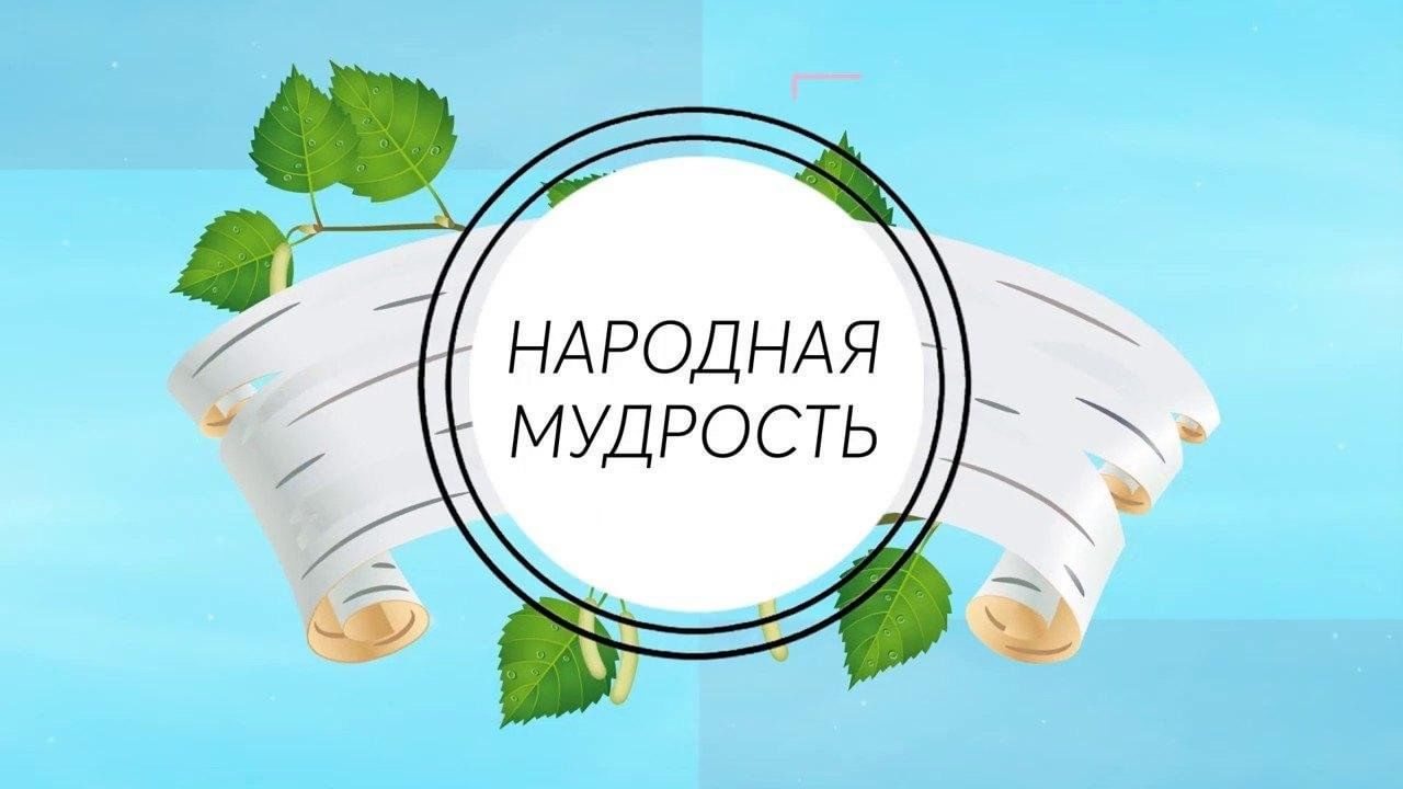 Народная мудрость картинки