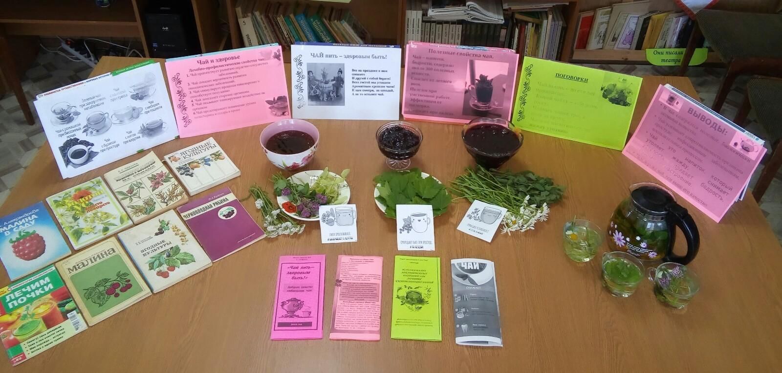 Книжная выставка лекарственные растения