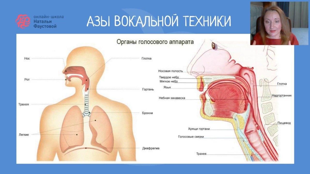 Как должна выглядеть гортань Резонаторы. Значение резонирования" 2022, Буинск - дата и место проведения, прог