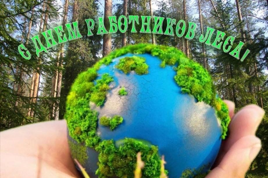 День работника леса 2024 картинки Интерактивная игра: "Берегите лес" посвященная дню работников леса. 2023, Новоше