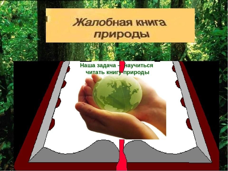 Жалобная книга природы в картинках для детей