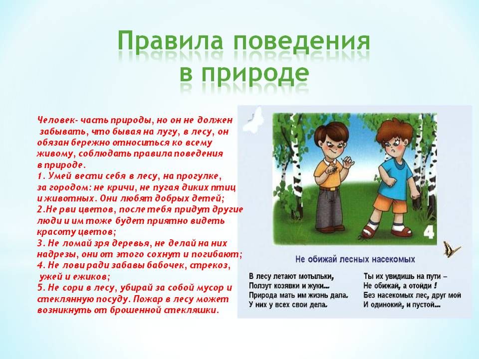 Правила поведения в природе презентация для начальной школы