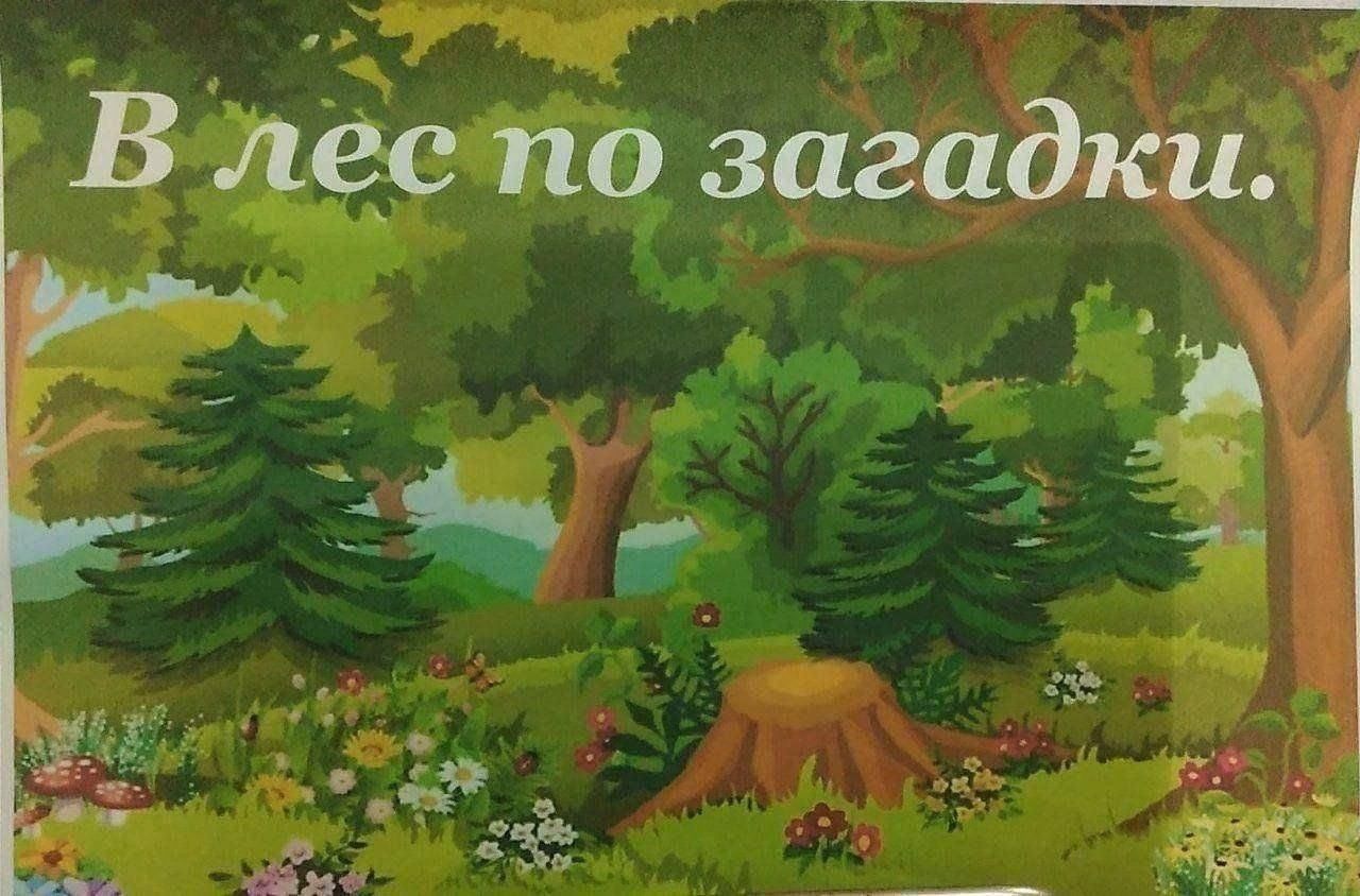 В лес по загадки»-сказочное путешествие 2024, Сабинский район — дата и  место проведения, программа мероприятия.