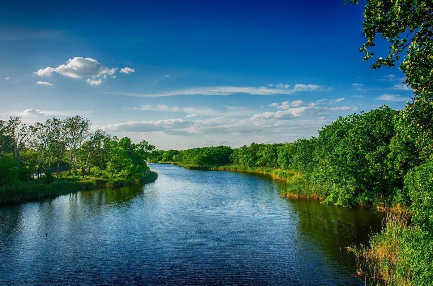 Река фото хорошем качестве